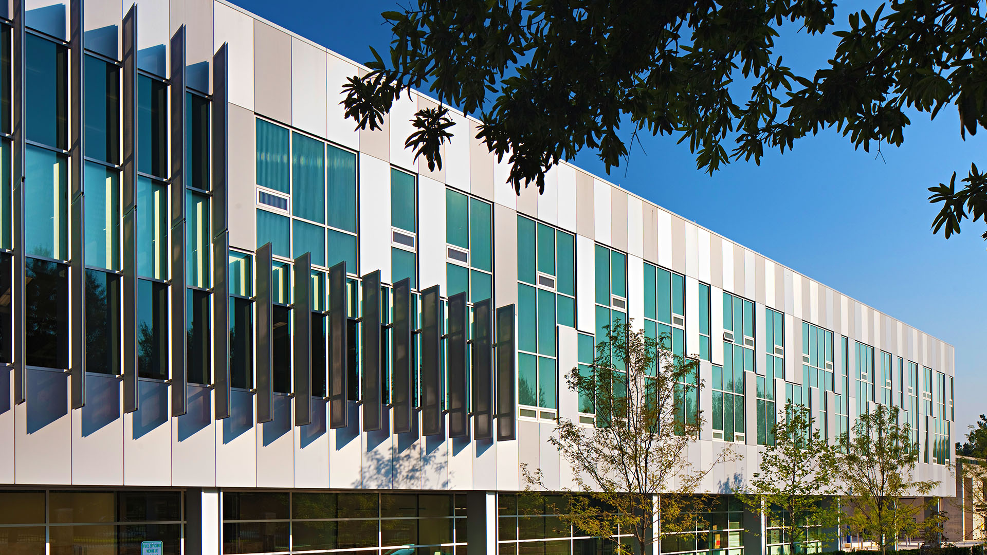 partial photo of CBEIS building