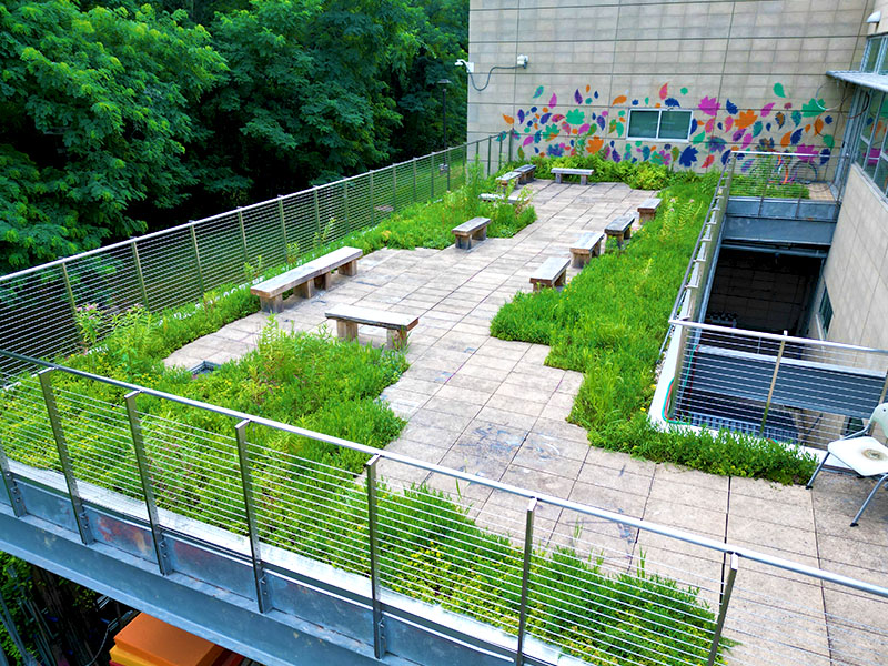 rooftop greenery