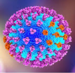 Flu Virus