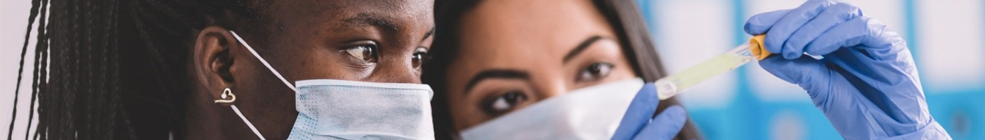 Undergraduate Research Banner