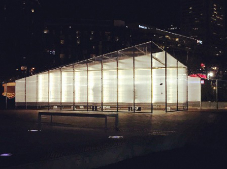 Divided Line exhibit