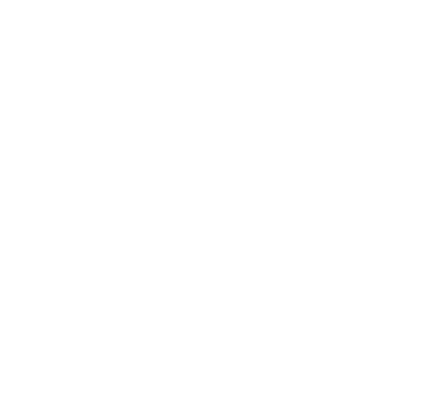 Carnegie Classification Seal